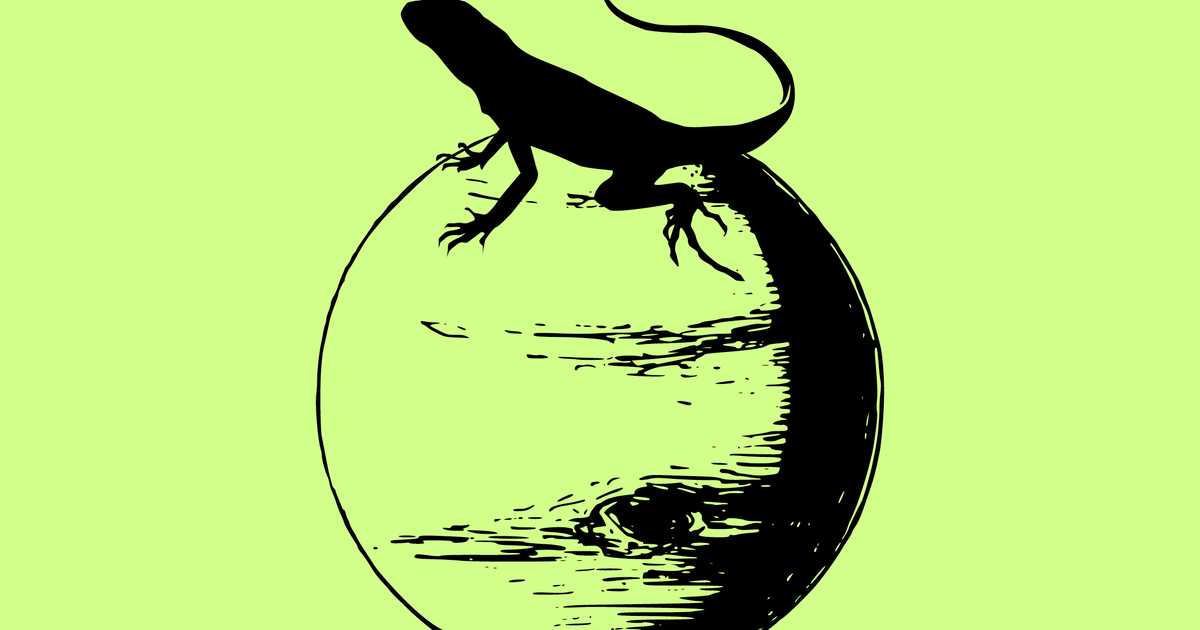 Moonshine Kingston NYC at TBA, New York