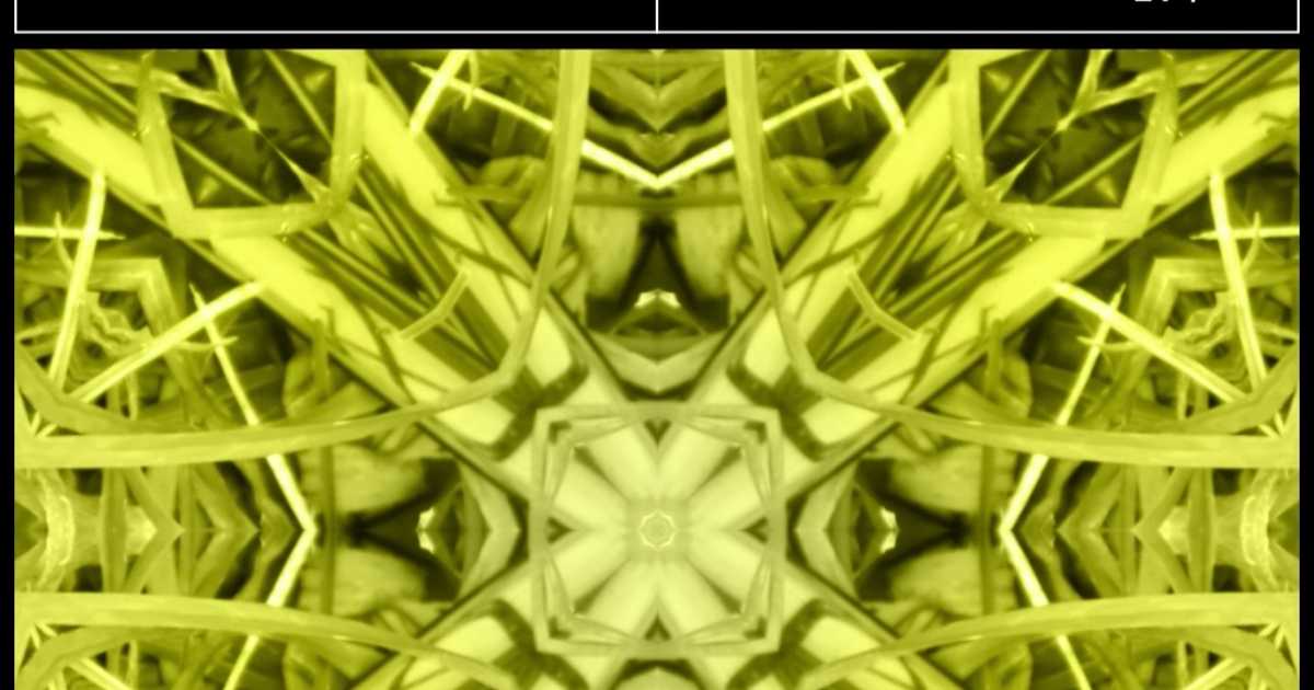 Tunnel Pres. C'Mon, EasyTrip, Mora, Strange Soul at Tunnel Club, Pereira