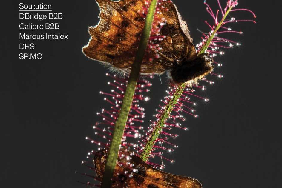 Daniel Avery presents Divided Love, Erol Alkan, Voiski Live, Dbridge